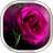 icon Pink Rose Live Wallpaper 15.0