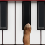 icon Dog Piano per ZTE Nubia Z17