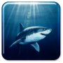 icon Shark Live Wallpaper per verykool Cyprus II s6005