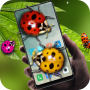 icon Ladybug in phone prank