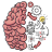 icon Brain Test 2.748.0