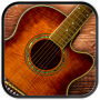 icon Play Acoustic Guitar per Vertex Impress New