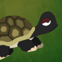 icon Grumpy Turtle per qmobile Q Inifnity E