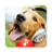 icon Animal Sounds Ringtones Free 3.99