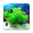 icon Aquarium Live Wallpaper 3.7