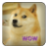 icon Doge Jump 1.5