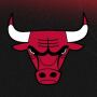 icon Chicago Bulls