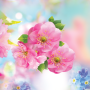 icon Spring Flowers Live Wallpaper