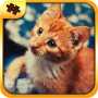 icon Cat Puzzles - Jigsaw