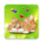 icon Funny Cat Live Wallpaper 1.0.9