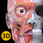 icon Anatomy 3D Atlas per LG Stylo 3 Plus