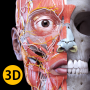 icon Anatomy 3D Atlas per blackberry DTEK50