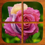 icon Flowers Puzzle