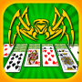 icon Spider Solitaire