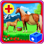 icon Horse Pregnancy Surgery