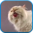 icon Cat screen licks 3.0