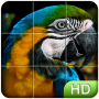 icon Tile Puzzle: Birds