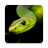 icon Snake Wallpapers 4.0.snake