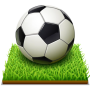 icon Perfect Soccer