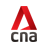 icon CNA 4.3.6