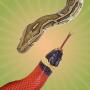 icon Snake Touch