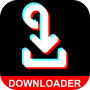 icon TikTok Downloader