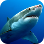 icon Sharks Live Wallpaper per verykool Cyprus II s6005